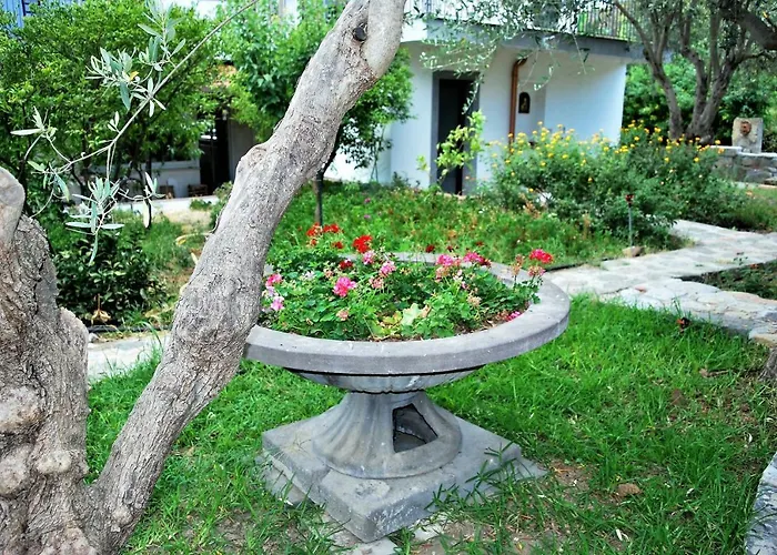 B&B Terre Di Sicilia Giardini Naxos